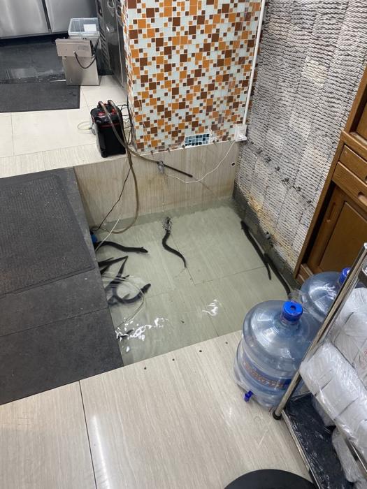 an eel pond inside a Japanese-themed restaurant